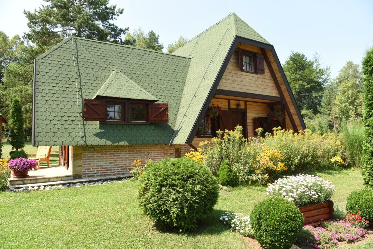 Visnjin Dom Villa Divcibare Exterior photo